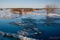 038_Biebrza - marzec 2013